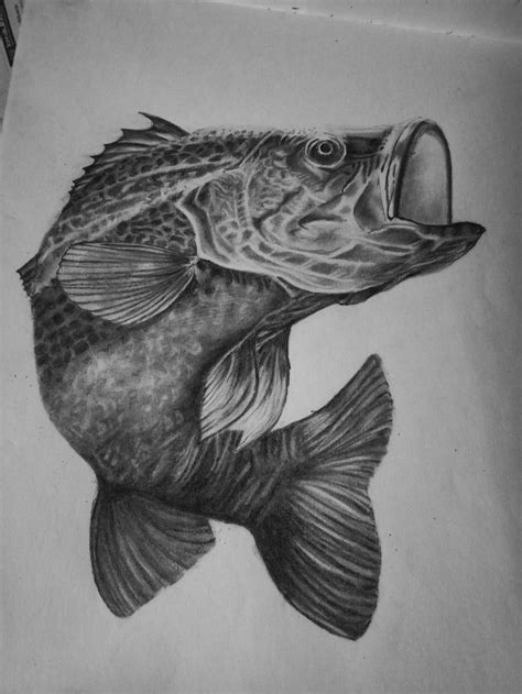 Fish drawing | Animal drawings sketches, Fish drawings, Fish sketch