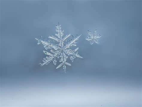 How to take macro pictures of beautiful snowflakes