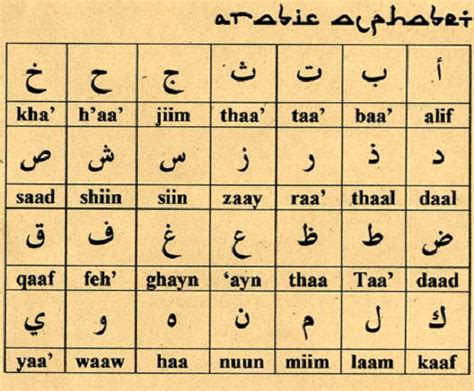 English to Arabic & Arabic to English translation : translators