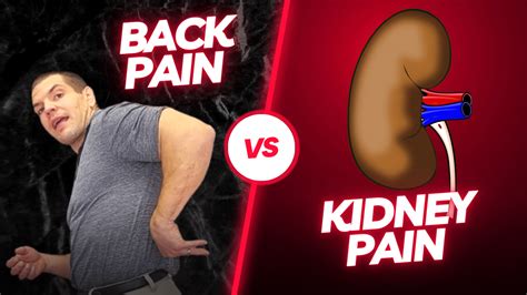 Back Pain vs Kidney Pain | How Can You Tell The Difference?