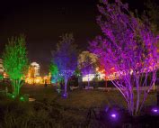 LED Landscape Lighting Brings Holiday Cheer with the Change of a Bulb | TriState Water Works