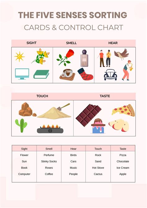 The Five Senses Sorting Cards & Control Chart in Illustrator, PDF - Download | Template.net