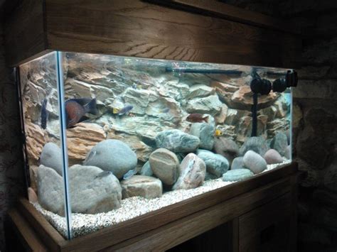 3D rock background | AQUARIUMS | Pinterest | Backgrounds, Rocks and 3d | Freshwater aquarium ...