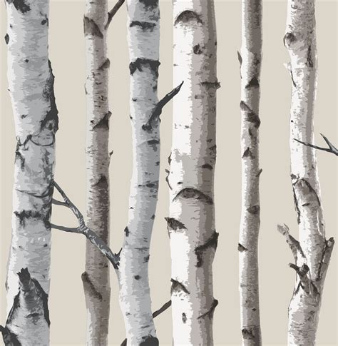 🔥 [50+] White Birch Wallpapers | WallpaperSafari