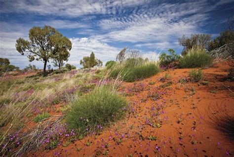 Australian Outback Self-Drive Tour- 18 Days | kimkim