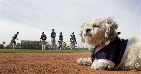 Hank the Dog, the Milwaukee Brewers mascot: Where is he now?