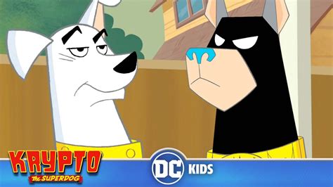 Krypto The Superdog | Bat-Hound's Bad Luck! | @dckids - YouTube