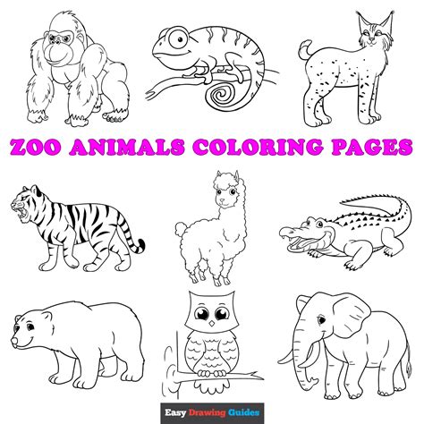 Zoo Animals Coloring Page