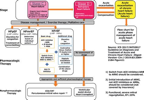 JCS/JHFS 2021 Guideline Focused Update on Diagnosis and Treatment of Acute and Chronic Heart ...