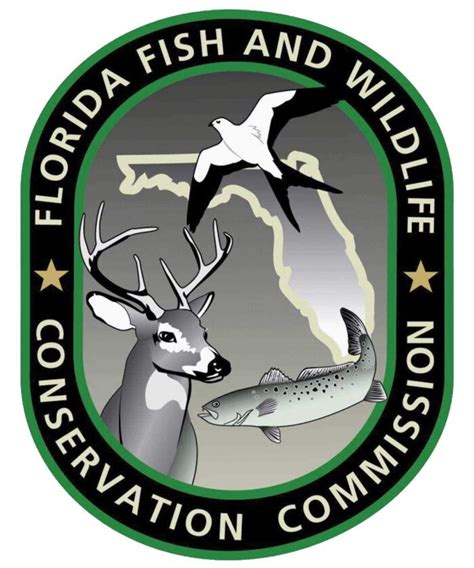 FWC responds to red tide in Southwest Florida | News, Sports, Jobs - North Fort Myers Neighbor