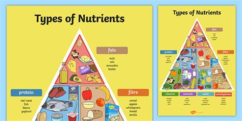 Types of Nutrients Pyramid Poster | Nutrients in Food