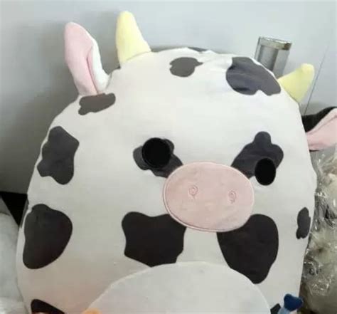 Colin cow 16 inch Squishmallow, Hobbies & Toys, Toys & Games on Carousell