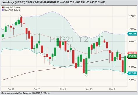 U.S. livestock: Hog futures rally on technical buying - Canadian Cattlemen