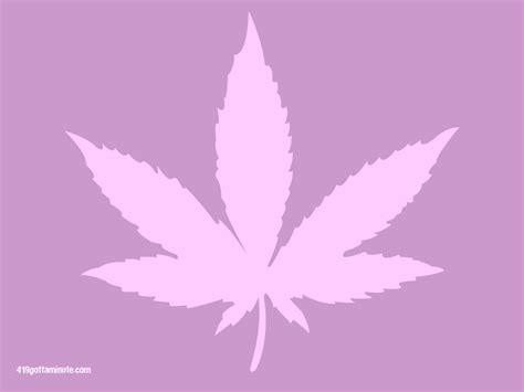 Free marijuana desktop background wallpaper Pink Pot Leaf 1024x768