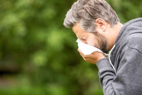 Stop the sneezing this allergy season!