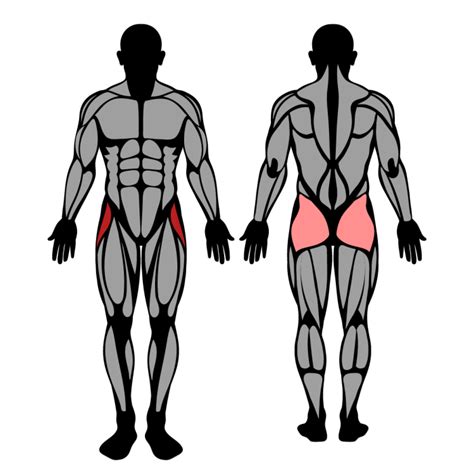 How to Do Hip Abduction Machine: Muscles Worked & Proper Form – StrengthLog