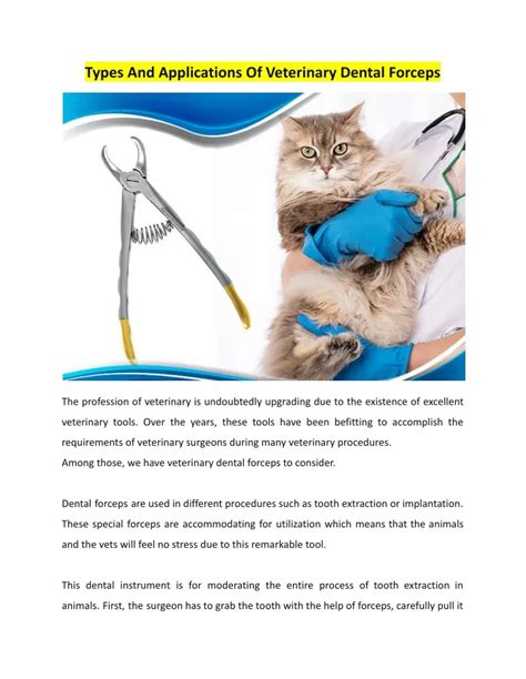 PPT - veterinary dental forceps.docx PowerPoint Presentation, free download - ID:11410376