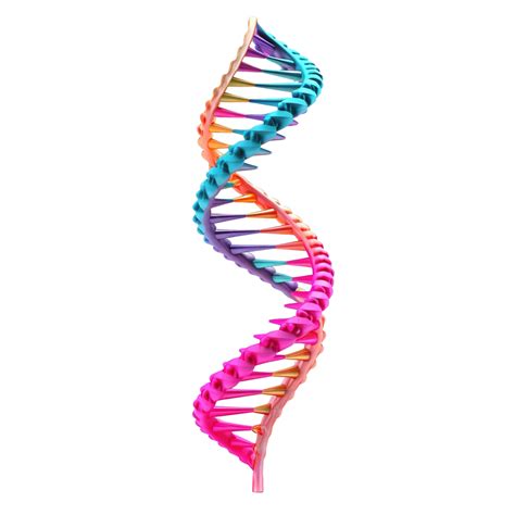 Dna Helix Genetic Structure 3d Illustration, Molecule, Biochemistry ...