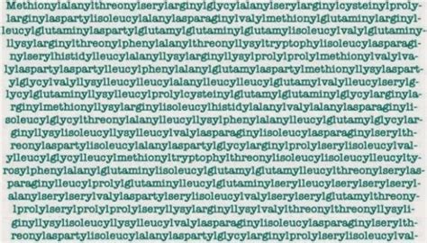 The Top 10 Longest Words in the English Language | Longest word in ...