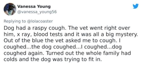 14 funny stories about pets vet visit that will give you the giggles ...