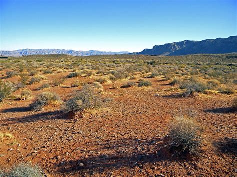 Nevada Desert Photograph by Frank Wilson - Pixels