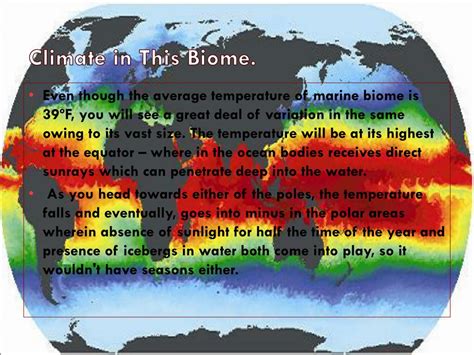 PPT - Ocean Biome PowerPoint Presentation, free download - ID:2298400