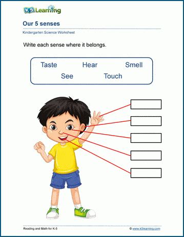 Five senses and body parts kindergarten worksheets | K5 Learning