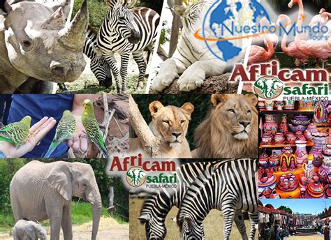 AFRICAN SAFARI & PUEBLA – Nuestro Mundo