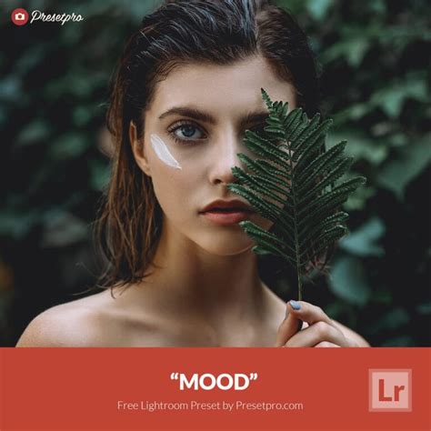 Free Lightroom Preset | Mood Preset - Presetpro.com