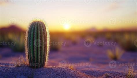 Desert Cactus Logo Stock Photos, Images and Backgrounds for Free Download