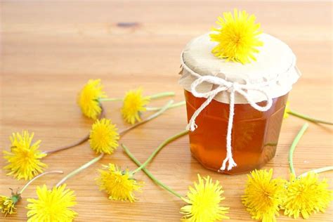 Dandelion jelly (without pectin) | Dandelion jelly, Edible flowers ...