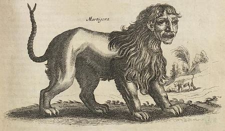 Manticore in Greek Mythology | History, Attributes & References | Study.com