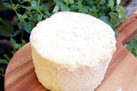 Artisanal cheese from Indonesia caters to growing demand, Food News ...