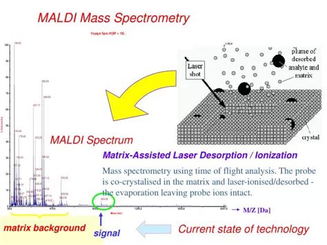 PPT - MALDI Mass Spectrometry PowerPoint Presentation - ID:4940620