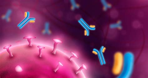 Case Studies | Fusion Antibodies