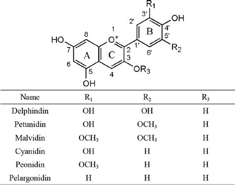 Basic structure of anthocyanins. | Download Scientific Diagram