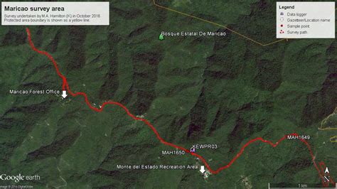 Survey area in Maricao State Forest 11/10/2016. | Download Scientific Diagram