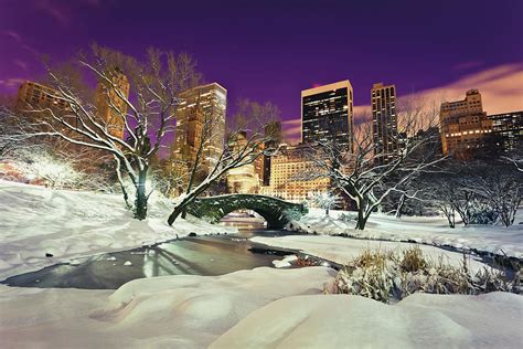 Central Park At Night In Winter, Nyc by Espiegle