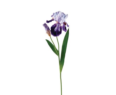 Bloom Single Purple Iris Stem Artificial Silk Home Decoration Flower Arrangement | eBay