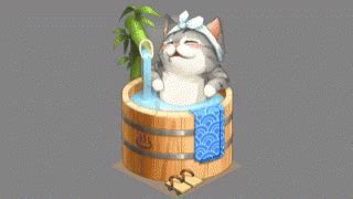 Chillcat GIF - Chillcat - Discover & Share GIFs