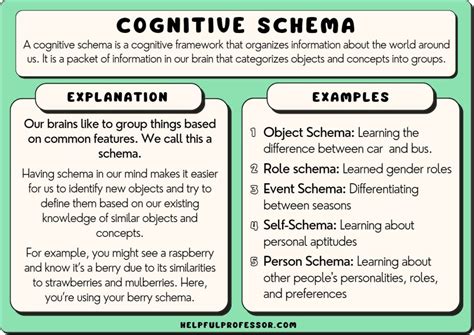 The 5 Types of Schema (2024)