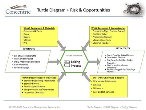 Instructions For Creating A Turtle Diagram — Concentric Global