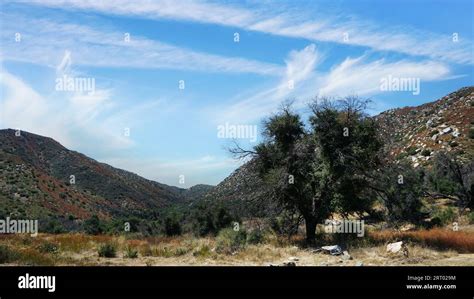 A lone Oak tree at entrance to Cole Canyon in Murrieta, California Stock Photo - Alamy