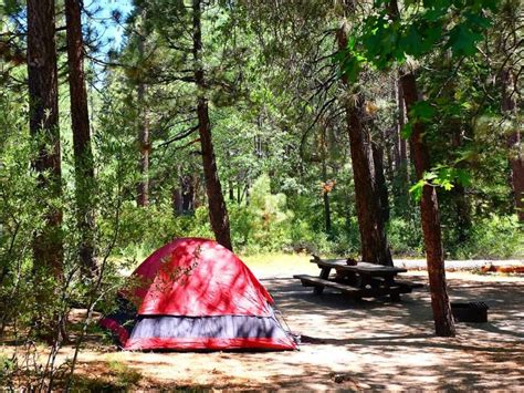 Camping Near Big Bear: 12 Top-Rated Campsites within An Hour’s Drive – Trips To Discover