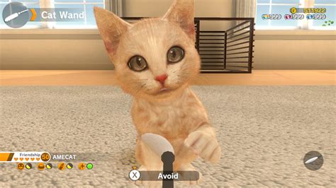 Little Friends Dogs & Cats Receives Adorable New Trailer - myPotatoGames