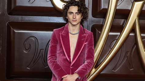 Timothée Chalamet, che frequentava le figlie delle star prima ancora di essere famoso | Vanity ...