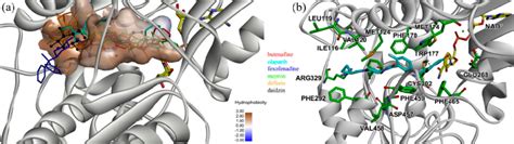 (a) Binding poses of ALDH2 with selected inhibitors from docking and... | Download Scientific ...