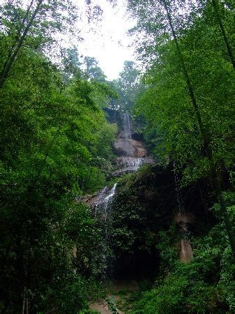 Guizhou Bamboo Forest (Chishui) - 2021 All You Need to Know BEFORE You Go (with Photos ...