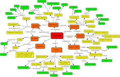 Evolution Concept Map | Mind Map | Pinterest | Biology, Evolution and Search