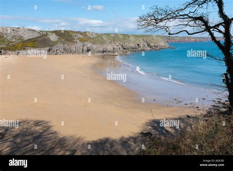 Barafundle Bay Beach in Pembrokeshire, Wales Stock Photo - Alamy